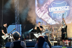 26_Bike_Rock_Festival_Limberg_00078