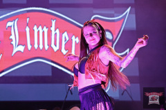 26_Bike_Rock_Festival_Limberg_00544