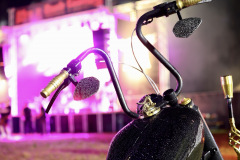 Bike_Rock_Festival_Limberg_2024_Freitag_250