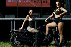 Bike_Rock_Festival_Limberg_2024_Samstag_117