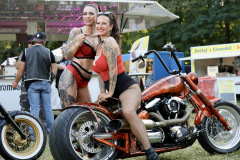 Bike_Rock_Festival_Limberg_2024_Samstag_157