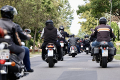Bike_Rock_Festival_Limberg_2024_Samstag_54