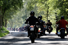 Bike_Rock_Festival_Limberg_2024_Samstag_65