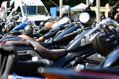 Bike_Rock_Festival_Limberg_2024_Samstag_74