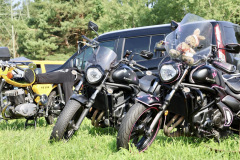 28_Bike_Rock_Festival_Limberg_2025-08-09_10-04-34