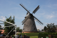 IMG_9786