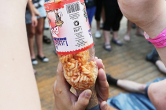 Treffen2015_0608