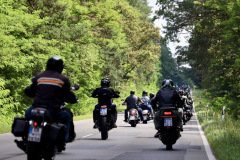 Bike_Rock_Festival_Limberg_2024_Samstag_48